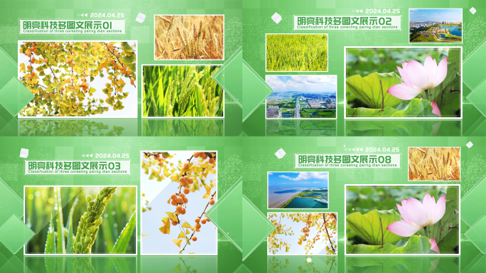 绿色农业科技多图片相册展示