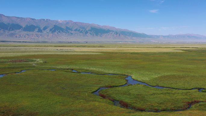 新疆草原湿地