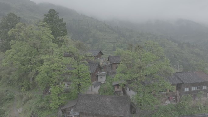 原始苗寨 木房子 美丽村落