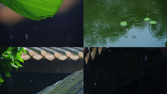 谷雨清明的雨滴