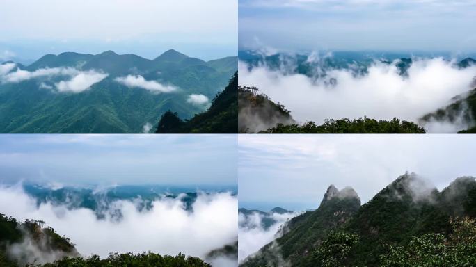 俯拍春天雨后的莽山云雾云海