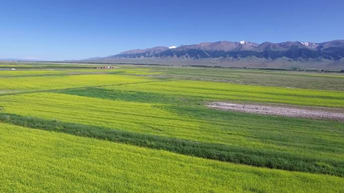 大美新疆草原湿地航拍