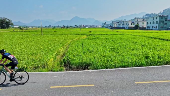 自行车对公路上经过田野多人竞速骑行