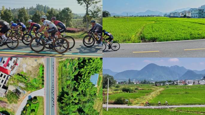 自行车对公路上经过田野多人竞速骑行