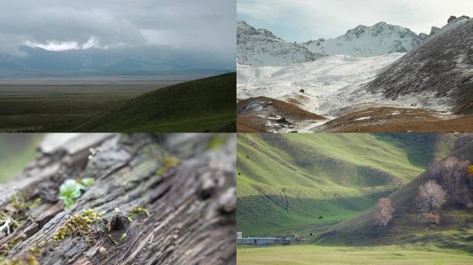 4K新疆山水延时雪山森林草原实拍风景视频