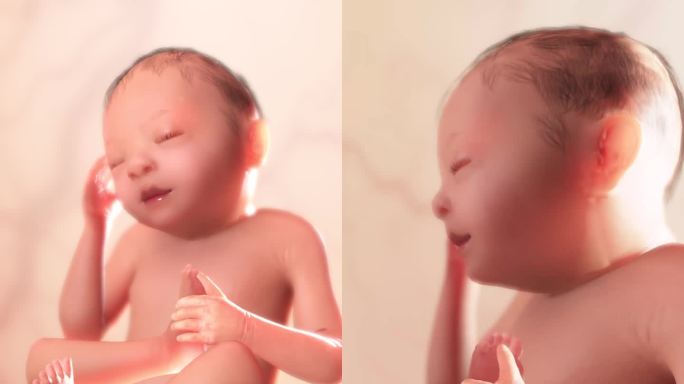 胚胎发育过程24周呼吸系统打嗝运动胎动