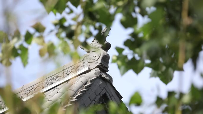 古建筑房檐一角