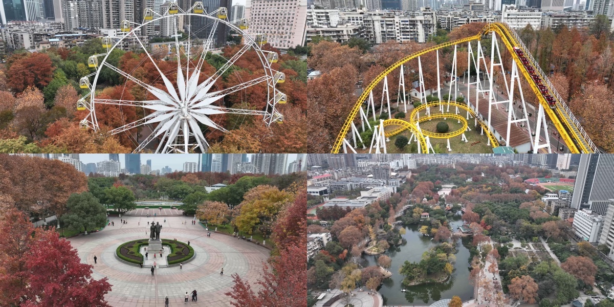 原片-武汉中山公园秋天秋叶红树叶摩天轮
