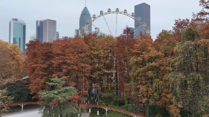 原片-武汉中山公园秋天秋叶红树叶摩天轮