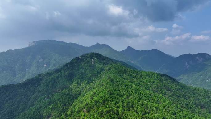 大自然 原始森林 山脉 绿色生态风景