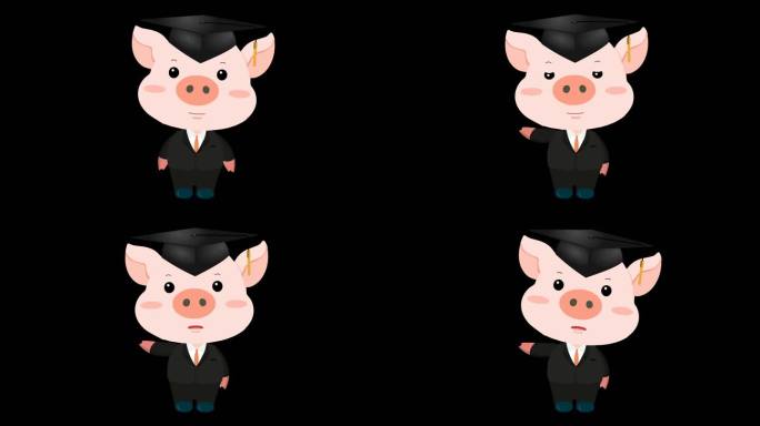MG动画 小猪动画 猪猪讲解 带通道