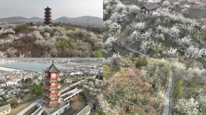 徐州汉王镇紫山村