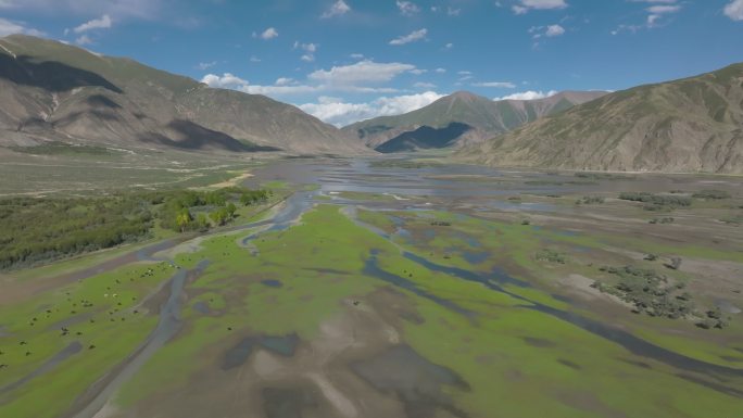 航拍西藏拉孜湿地