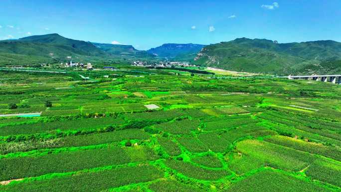 秋天的田野，梯田改造