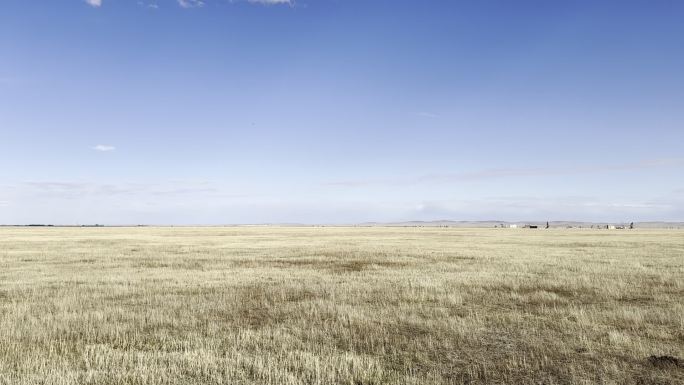 冬天的草原干枯的草场牧场