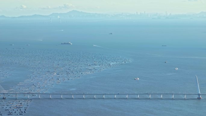 粤港澳大湾区航拍