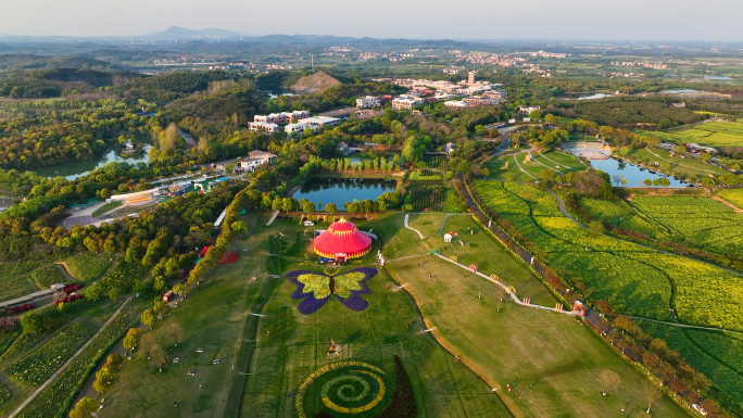 江苏南京高淳区慢城春季油菜花