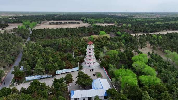 康平 万亩松   科尔沁沙地