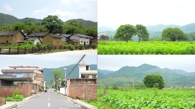 美丽乡村旅游韶关始兴罗坝燎原村农村空境