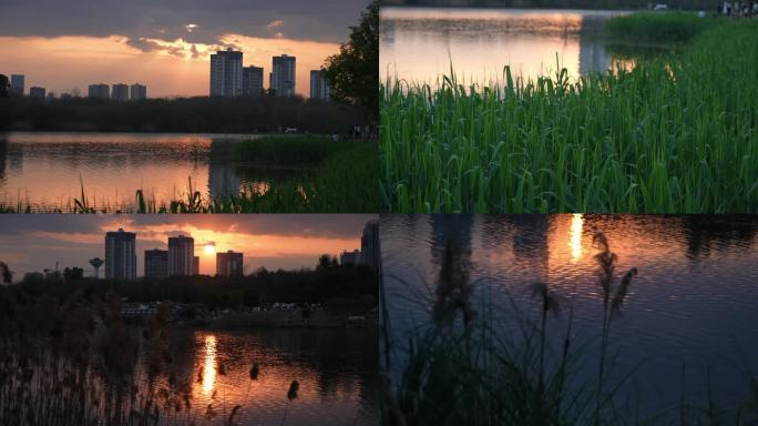 夕阳城市倒影湖面