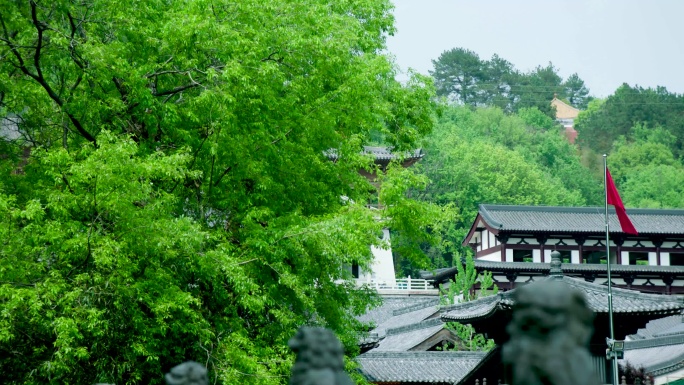 古建筑 石头雕饰石狮子 古雕