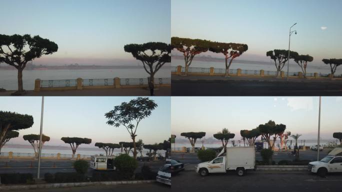 埃及 卢克索 列车 车站 交通 人文