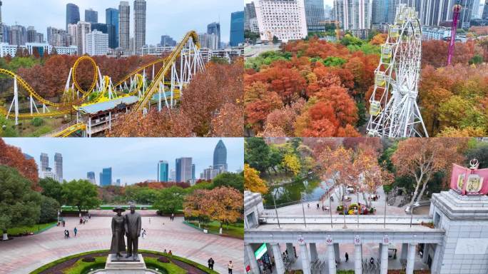 武汉中山公园秋天秋叶红树叶摩天轮乐园风景