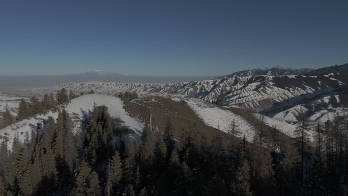 乌鲁木齐南山西白杨沟