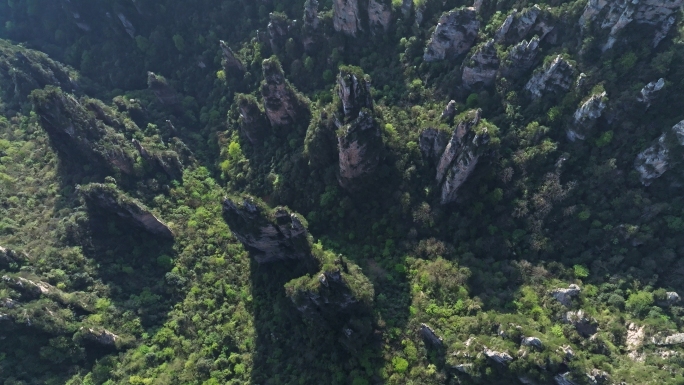 张家界峰林