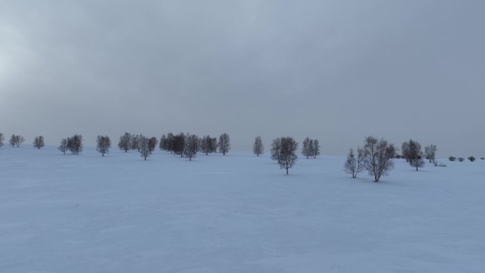 呼伦贝尔疏林雪原风光