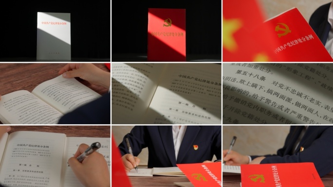 中国共产党纪律处分条例党风廉政建设学习