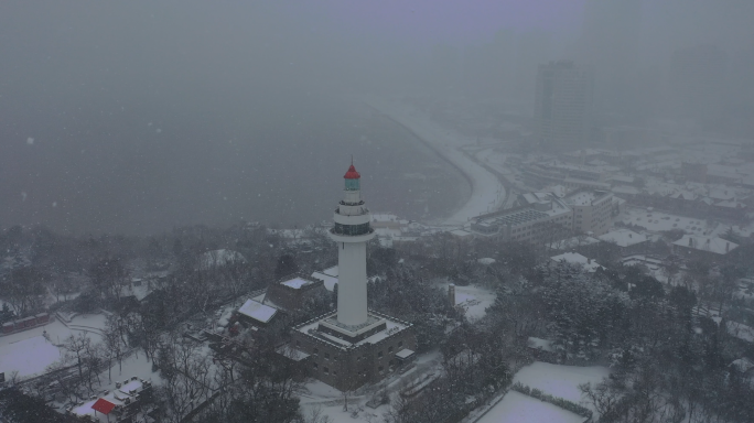 烟台海边的雪