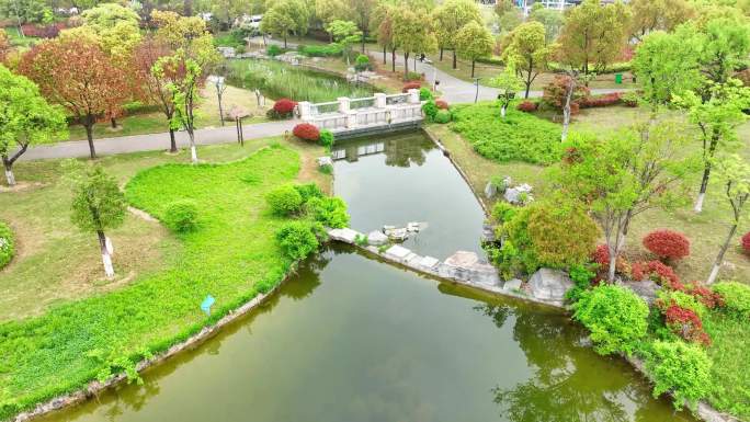 城市休闲公园春景