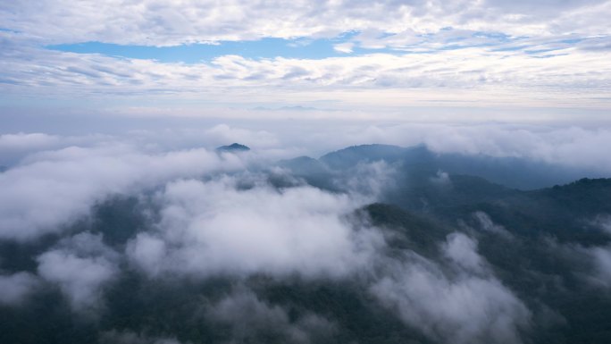 雨后 群山 森林 云海 晨雾