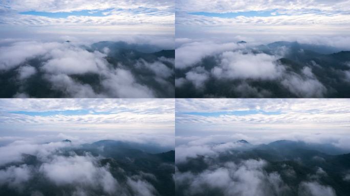 雨后 群山 森林 云海 晨雾