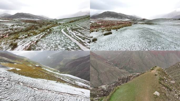 新疆张掖丹霞大峡谷草原天山雪山山脊7