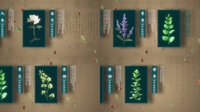 中医药材片头02（ae模版）本草纲目医药