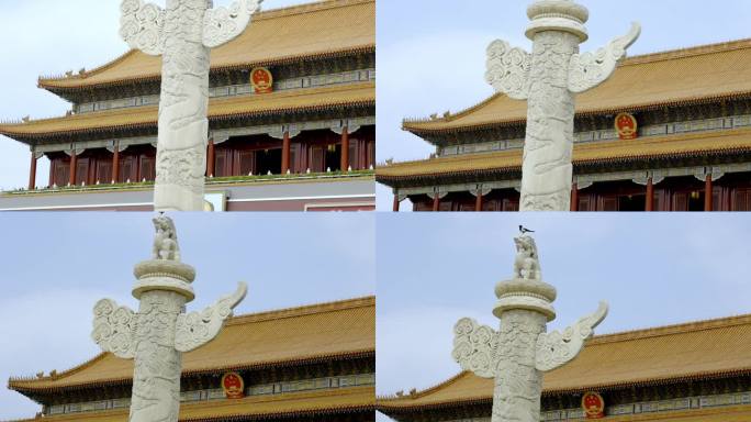 北京天安门化柱