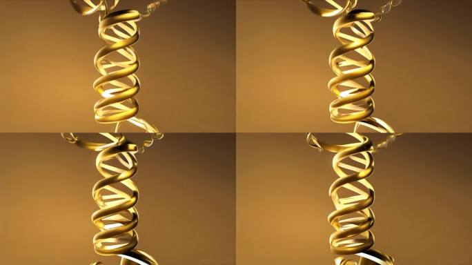 金色细胞 DNA