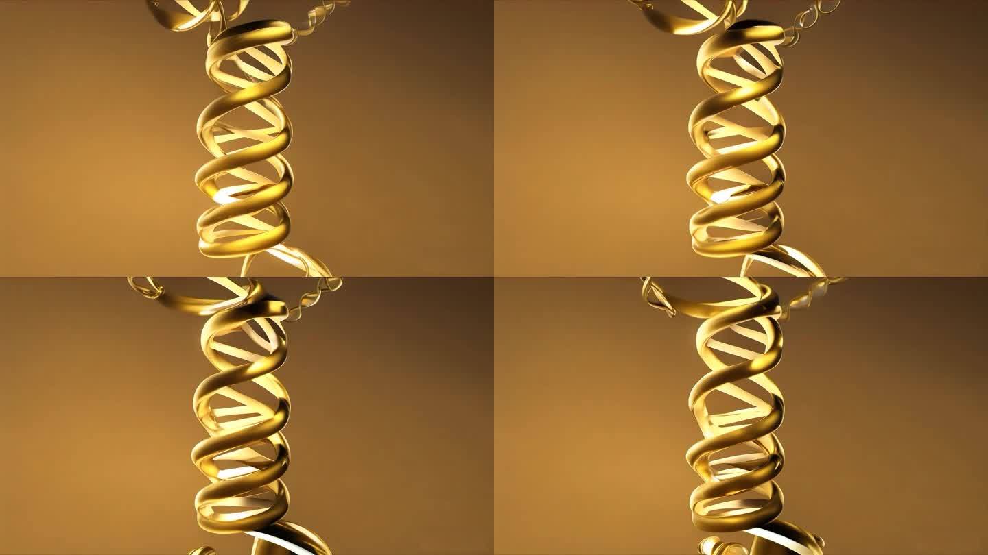 金色细胞 DNA