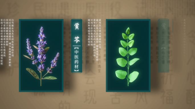 中医药材片头04（ae模版）主要原料