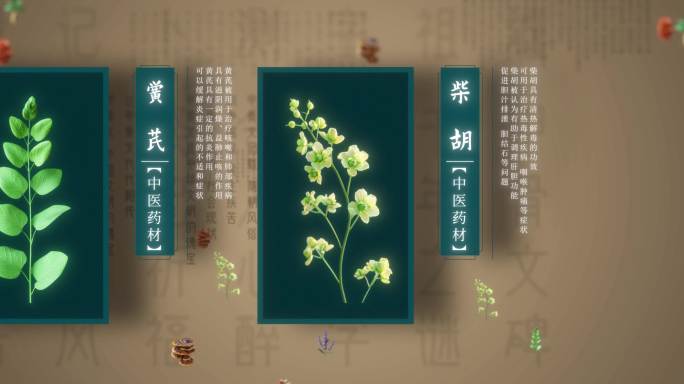 4款中医药材片头（ae模版）药材中草药