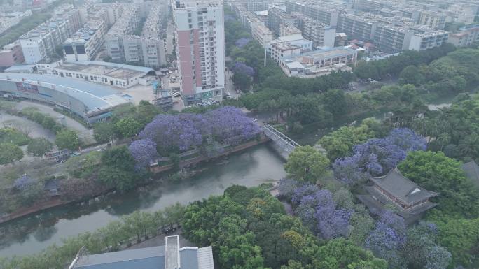 开远市泸江公园