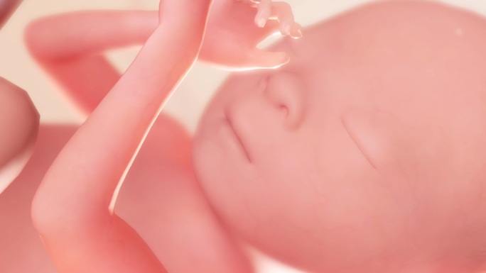 胚胎发育过程21周睫毛眉毛皮肤皱纹成型