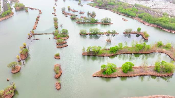 丰县大沙河湿地