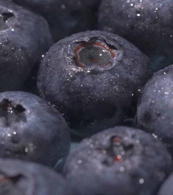 蓝莓水果展示视频 小清新 水果店