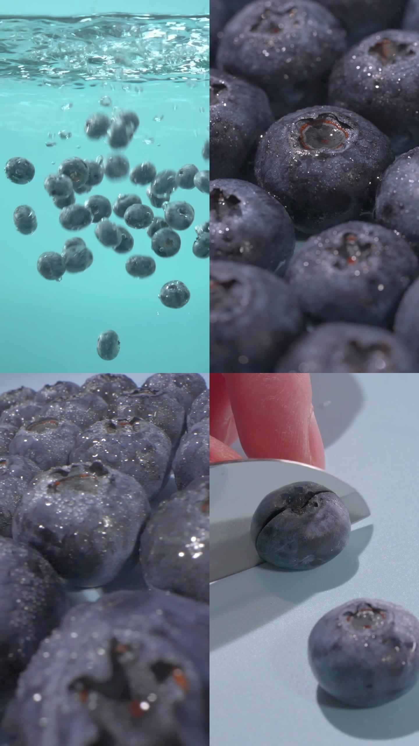 蓝莓水果展示视频 小清新 水果店