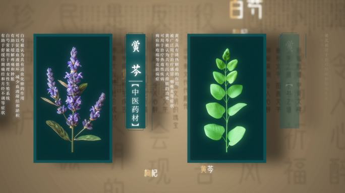 中医药材片头03（ae模版）中医文化国医