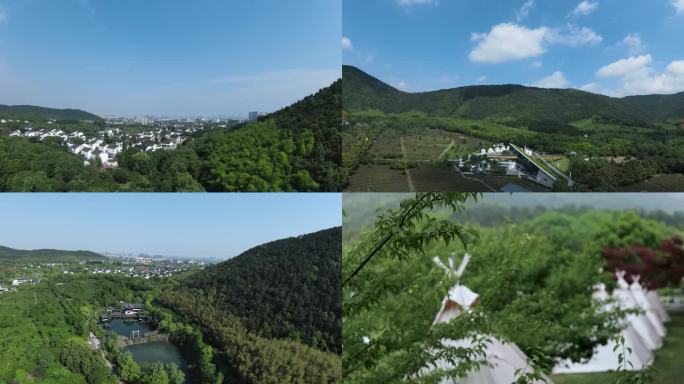 新农村 乡村 湖泊 花朵 晴天 深林