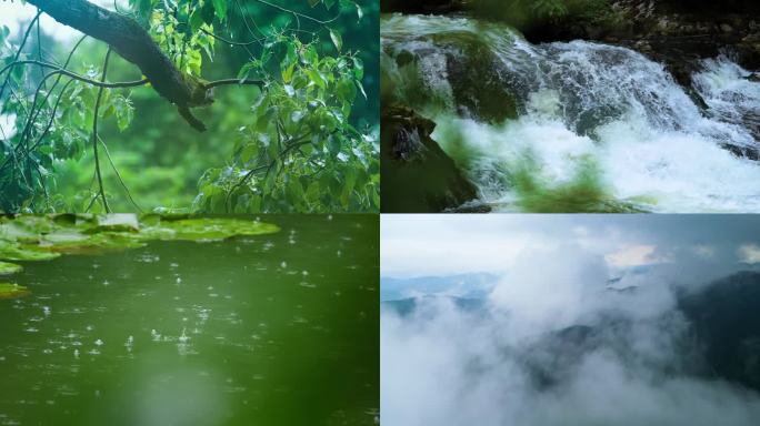 4k森林大自然流水雨林-谷雨惊蛰自然山川